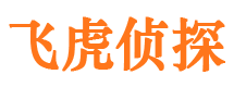 尖草坪市调查公司